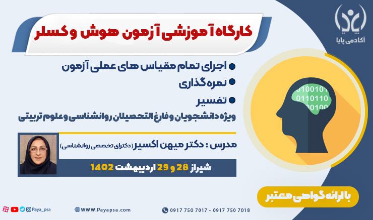 کارگاه آموزشی آزمون هوش وکسلر